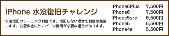 iPhone水没復旧チャレンジ料金